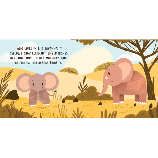 SASSI Sweet Sound Book - The Sounds Of The Savannah