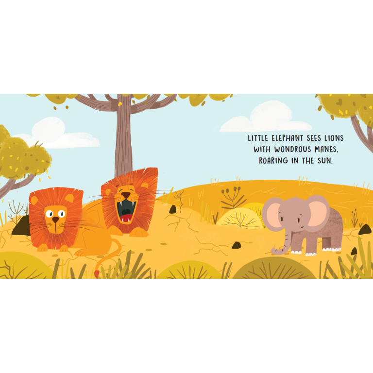 SASSI Sweet Sound Book - The Sounds Of The Savannah