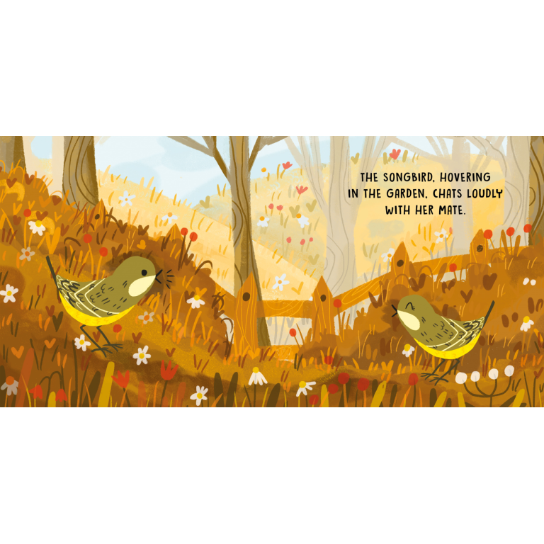 SASSI Sweet Sound Book - Birds