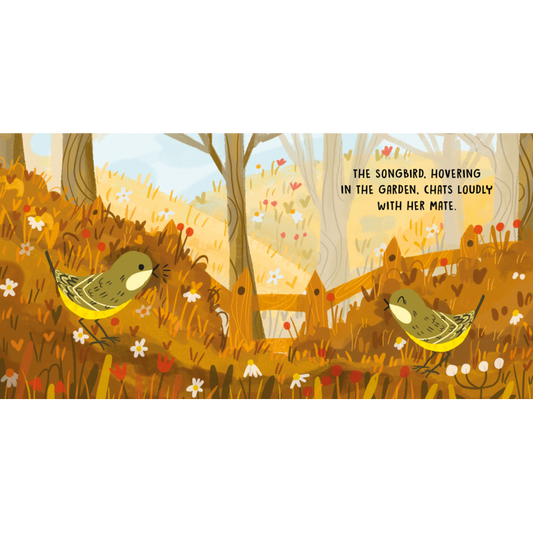 SASSI Sweet Sound Book - Birds