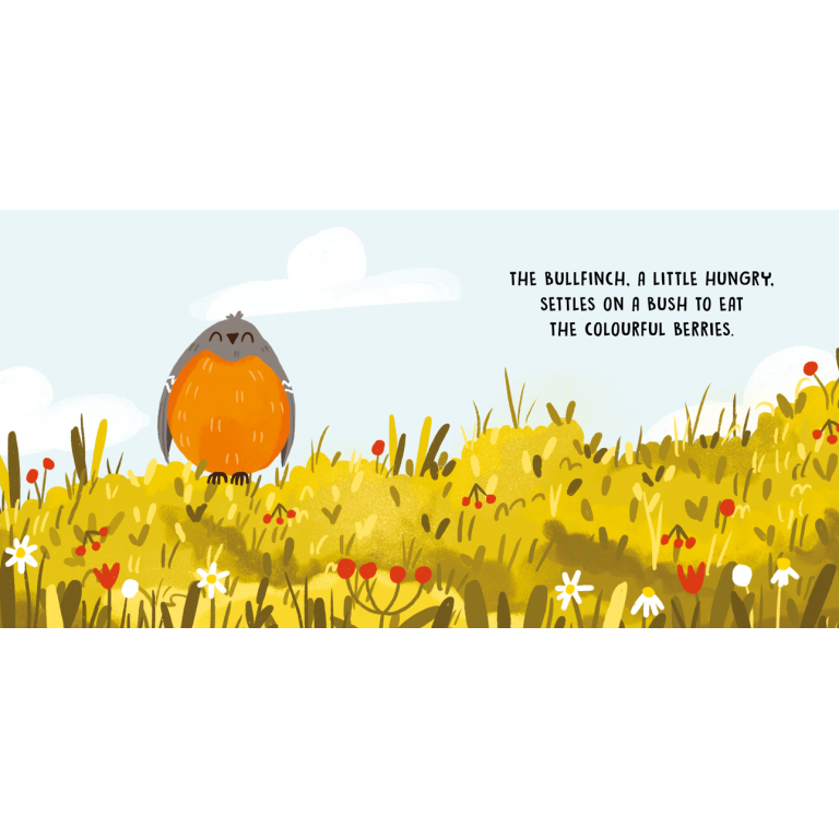 SASSI Sweet Sound Book - Birds
