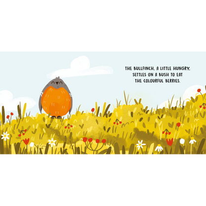 SASSI Sweet Sound Book - Birds