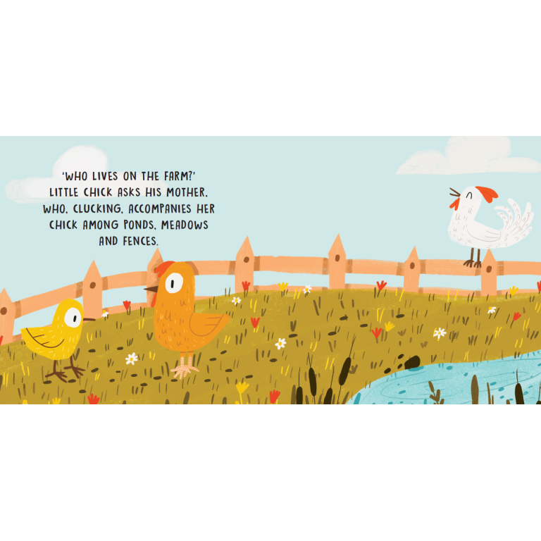 SASSI Sweet Sound Book - The Farm