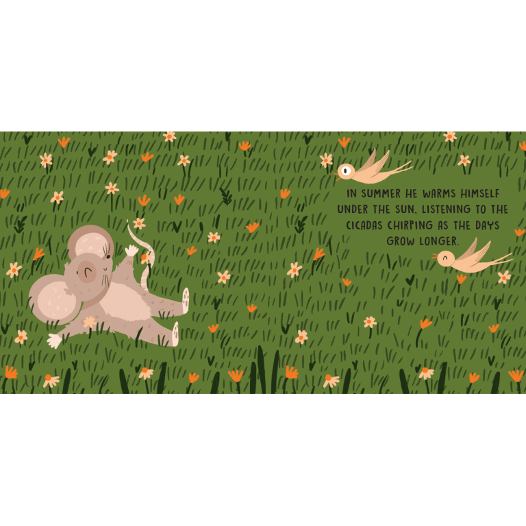 SASSI Sweet Sound Book - The Four Seasons
