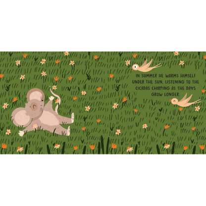 SASSI Sweet Sound Book - The Four Seasons