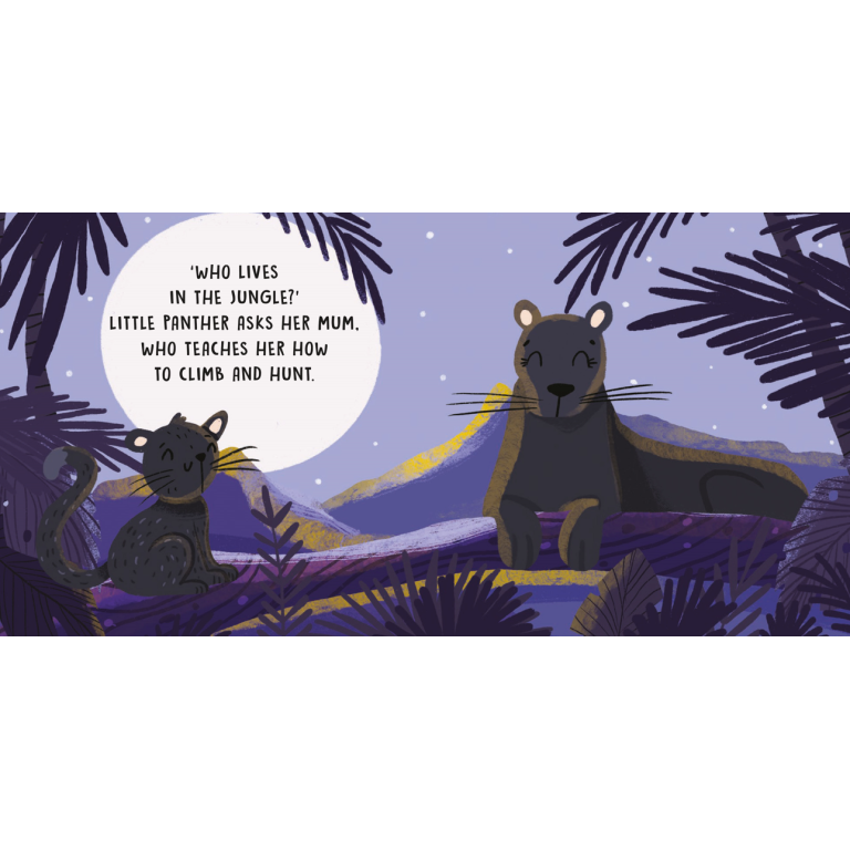 SASSI Sweet Sound Book - The Jungle