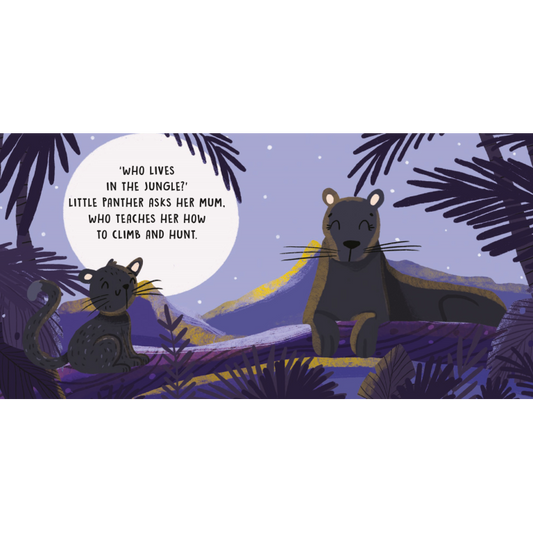 SASSI Sweet Sound Book - The Jungle