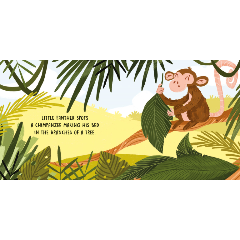 SASSI Sweet Sound Book - The Jungle