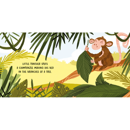 SASSI Sweet Sound Book - The Jungle