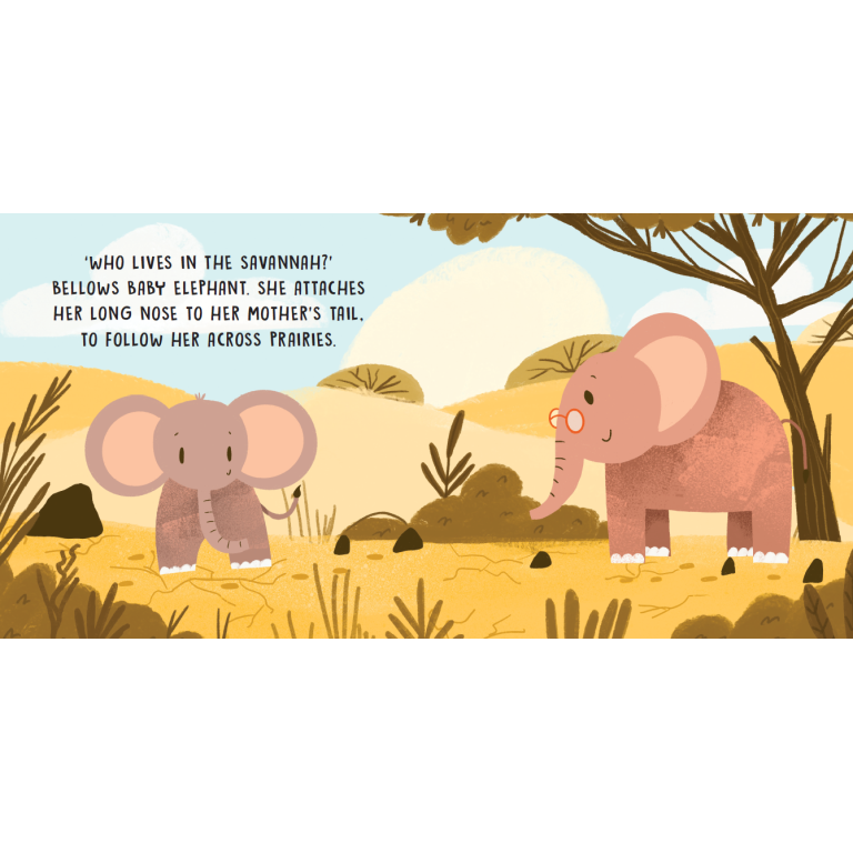 SASSI Sweet Sound Book - The Sounds Of The Savannah