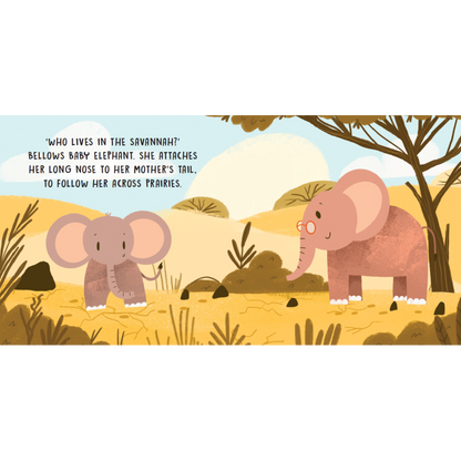 SASSI Sweet Sound Book - The Sounds Of The Savannah