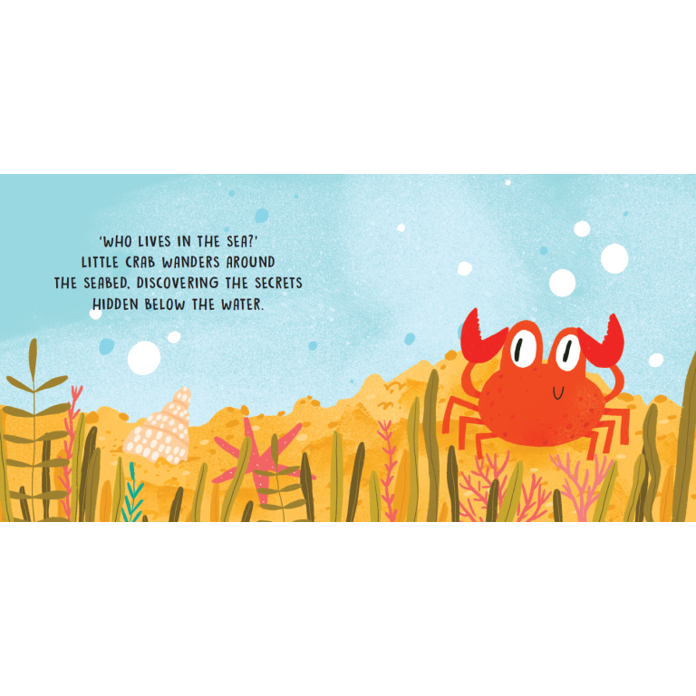 SASSI Sweet Sound Book - The Sounds Of The Sea