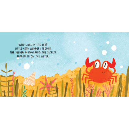 SASSI Sweet Sound Book - The Sounds Of The Sea