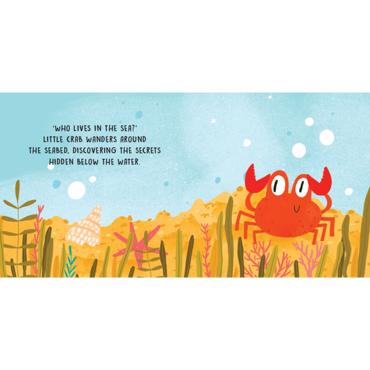 SASSI Sweet Sound Book - The Sounds Of The Sea